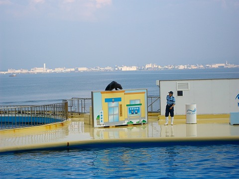 マリンワールド 003.jpg マリンワールド 003.jpg