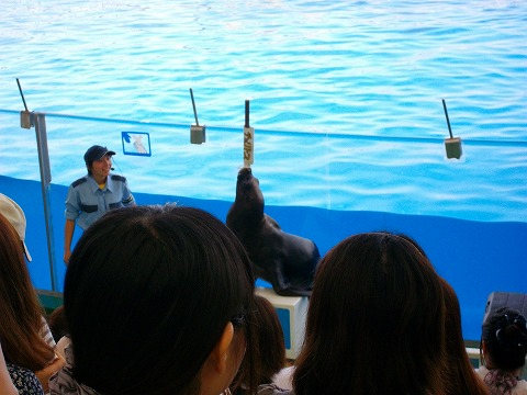 マリンワールド 008.jpg マリンワールド 008.jpg