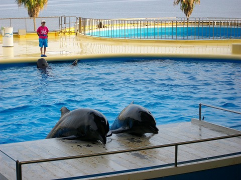 マリンワールド 011.jpg マリンワールド 011.jpg