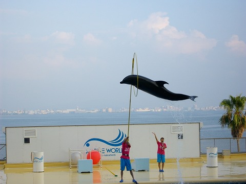 マリンワールド 013.jpg マリンワールド 013.jpg