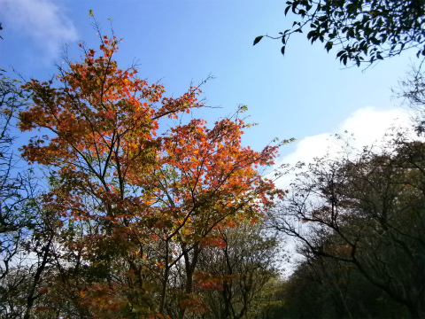 20111016vZRoR 005.jpg