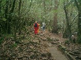 s_yakushima-06.jpg